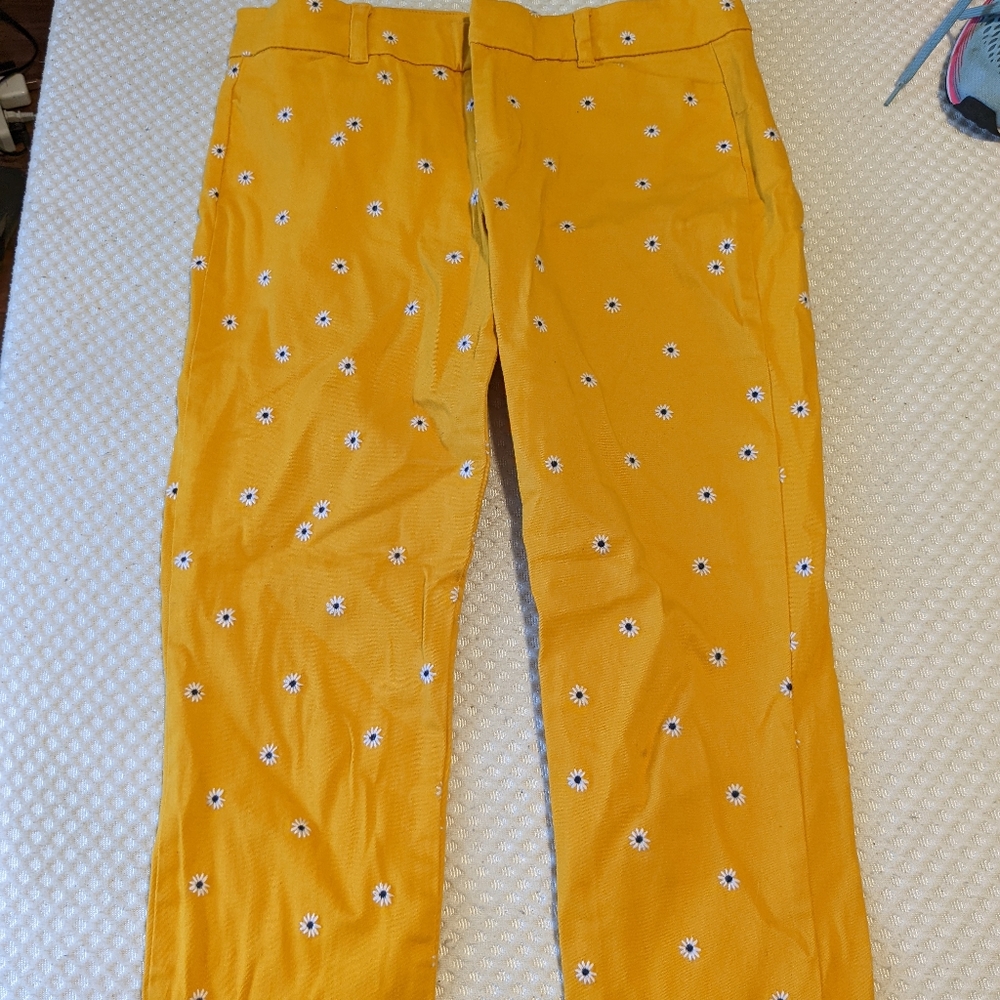 Old Navy pixie pants